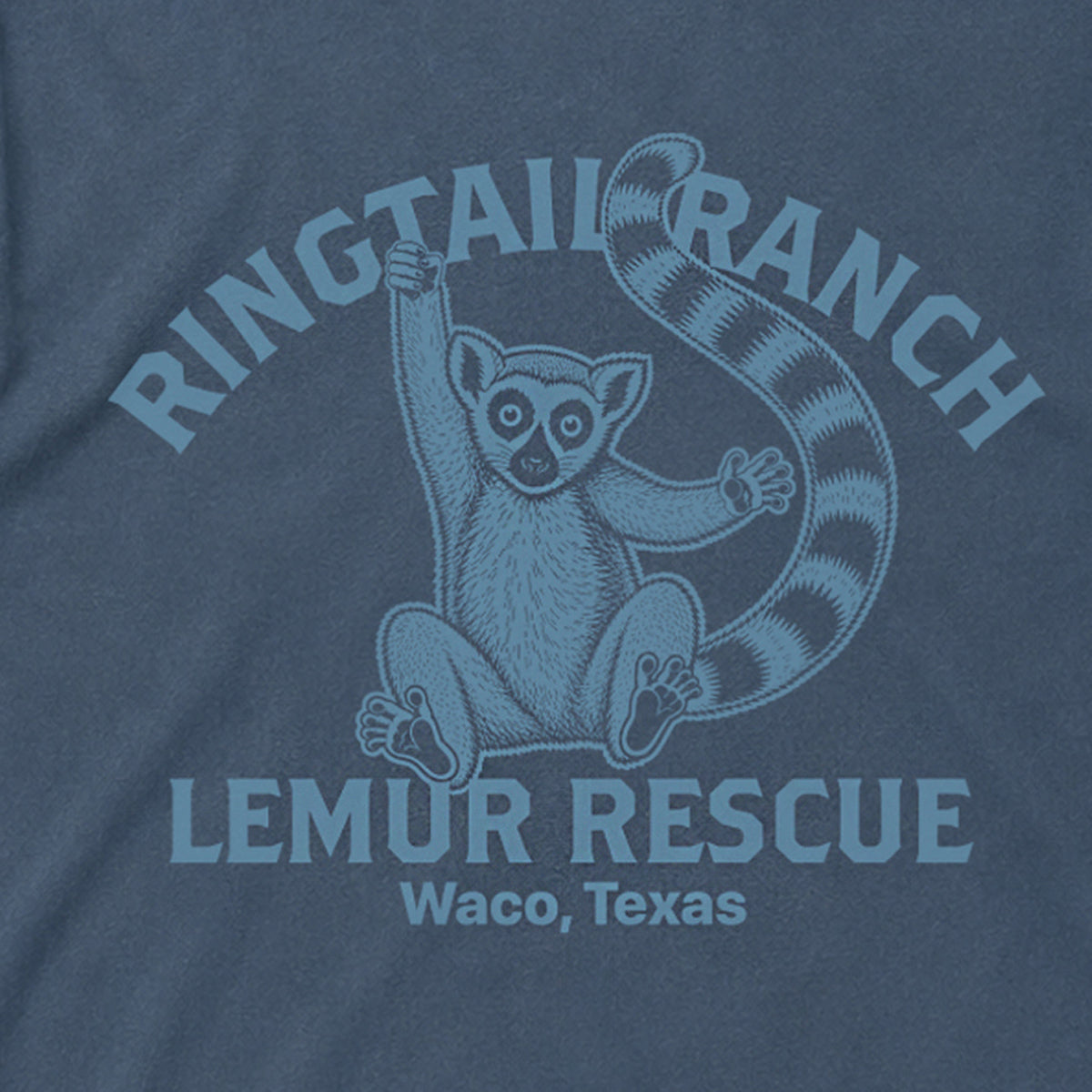 RINGTAIL RANCH