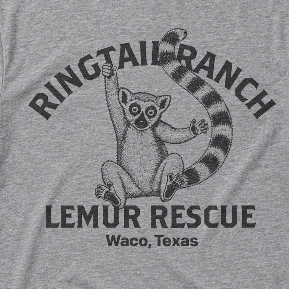RINGTAIL RANCH
